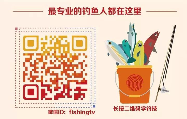 天下彩圖文資訊，探索更多精彩世界，探索更多精彩世界，天下彩圖文資訊薈萃