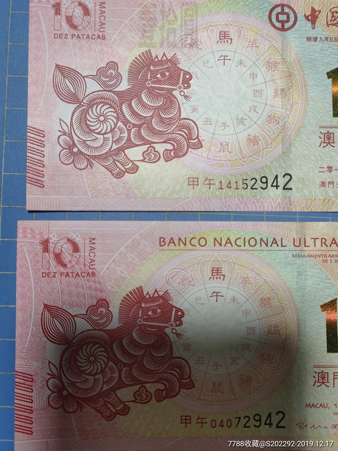 澳門馬的十二生肖是什么？帶你一探究竟，澳門馬的十二生肖揭秘，一探究竟