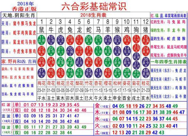 澳門正版資料大全資料生肖卡，深度解析與探索，澳門正版資料大全資料生肖卡深度解析與探索揭秘