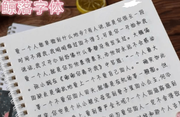 新澳門正牌掛牌之全篇，新澳門正牌掛牌詳解