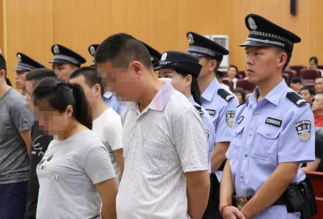香港正版特馬資料，香港正版特馬資料揭秘