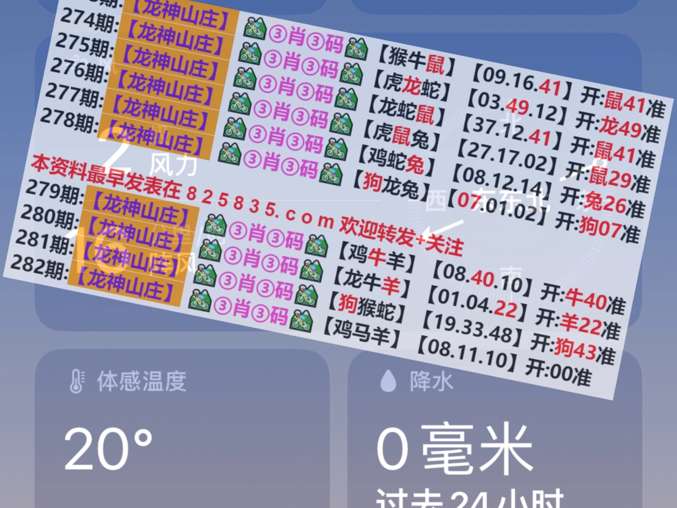 揭秘2024年澳門天天開好彩歷史記錄，揭秘澳門天天開好彩歷史記錄，2024年彩票背后的秘密