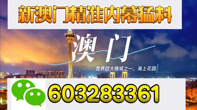 澳門特馬今晚開獎結(jié)果，澳門特馬今晚開獎結(jié)果公布