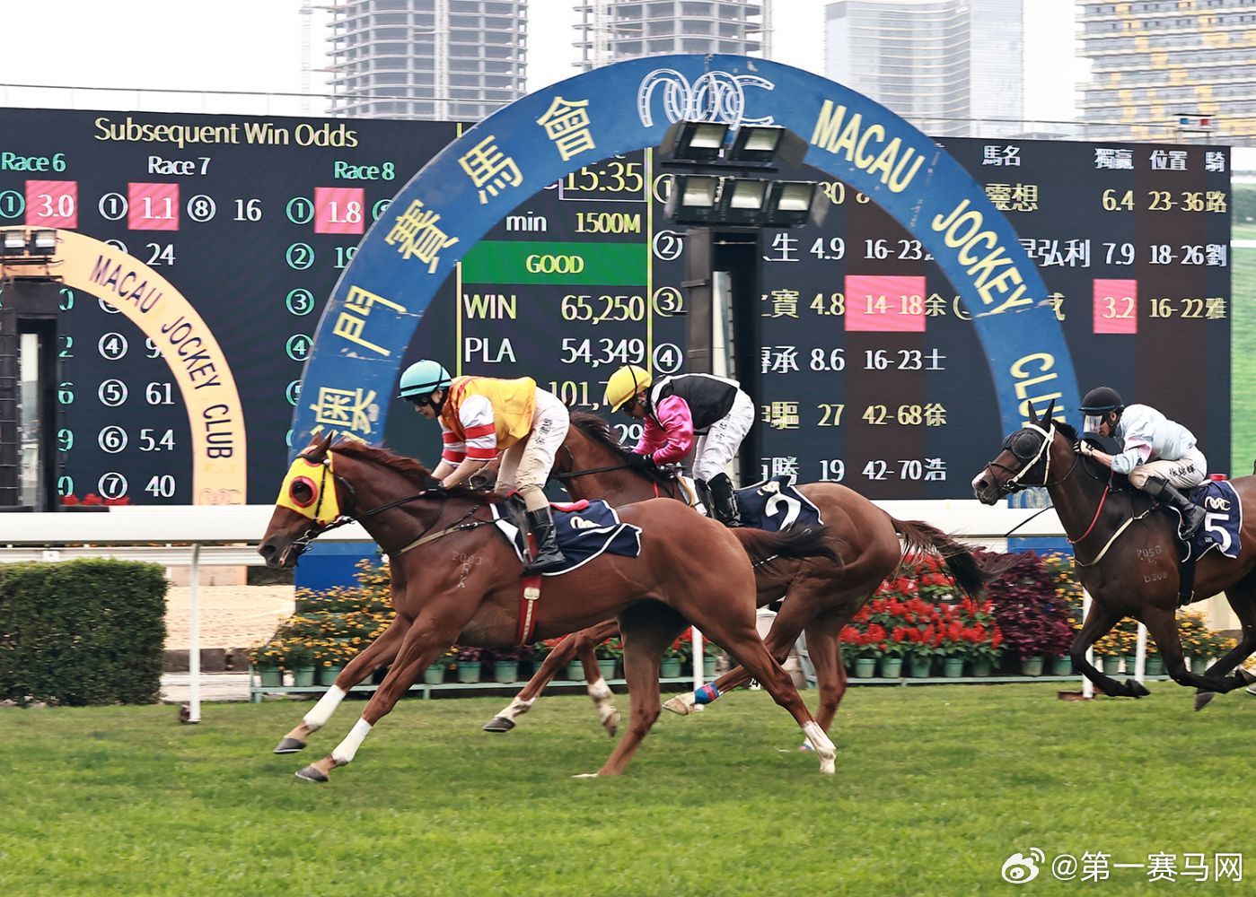 香港內部馬料免費論壇，香港內部馬料論壇揭秘