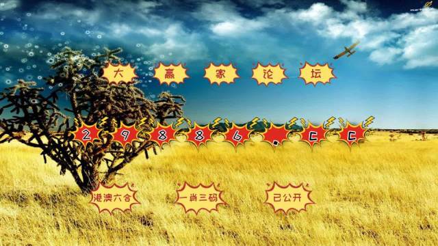 4949澳門今晚開獎，澳門今晚開獎結(jié)果揭曉